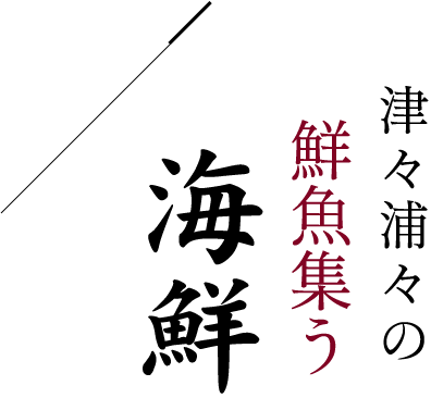 津々浦々の鮮魚集う海鮮